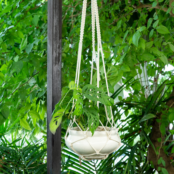 Pretty Simple Hand-Knotted Plant Hanger