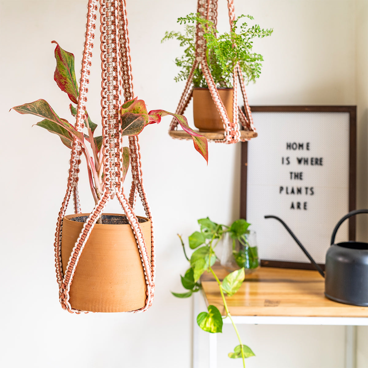 Intertwined Two-Toned Hand-Knotted Plant Hanger