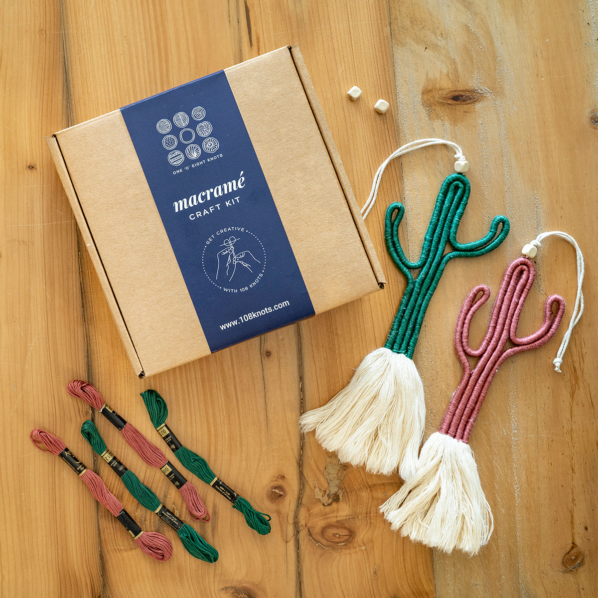 DIY Cactus Wall Hanging Craft Kit