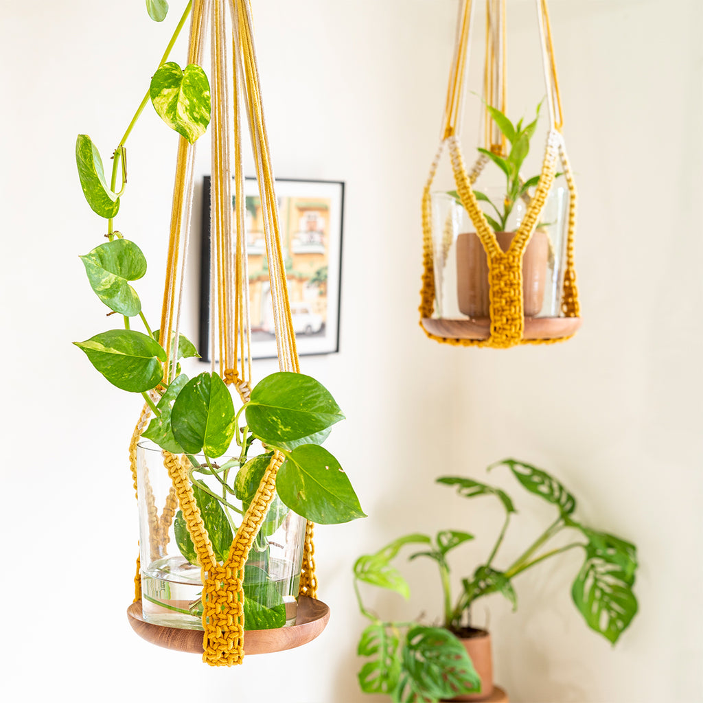 knots to hang plants Ombré Interlaced Hand-Knotted Plant Hanger