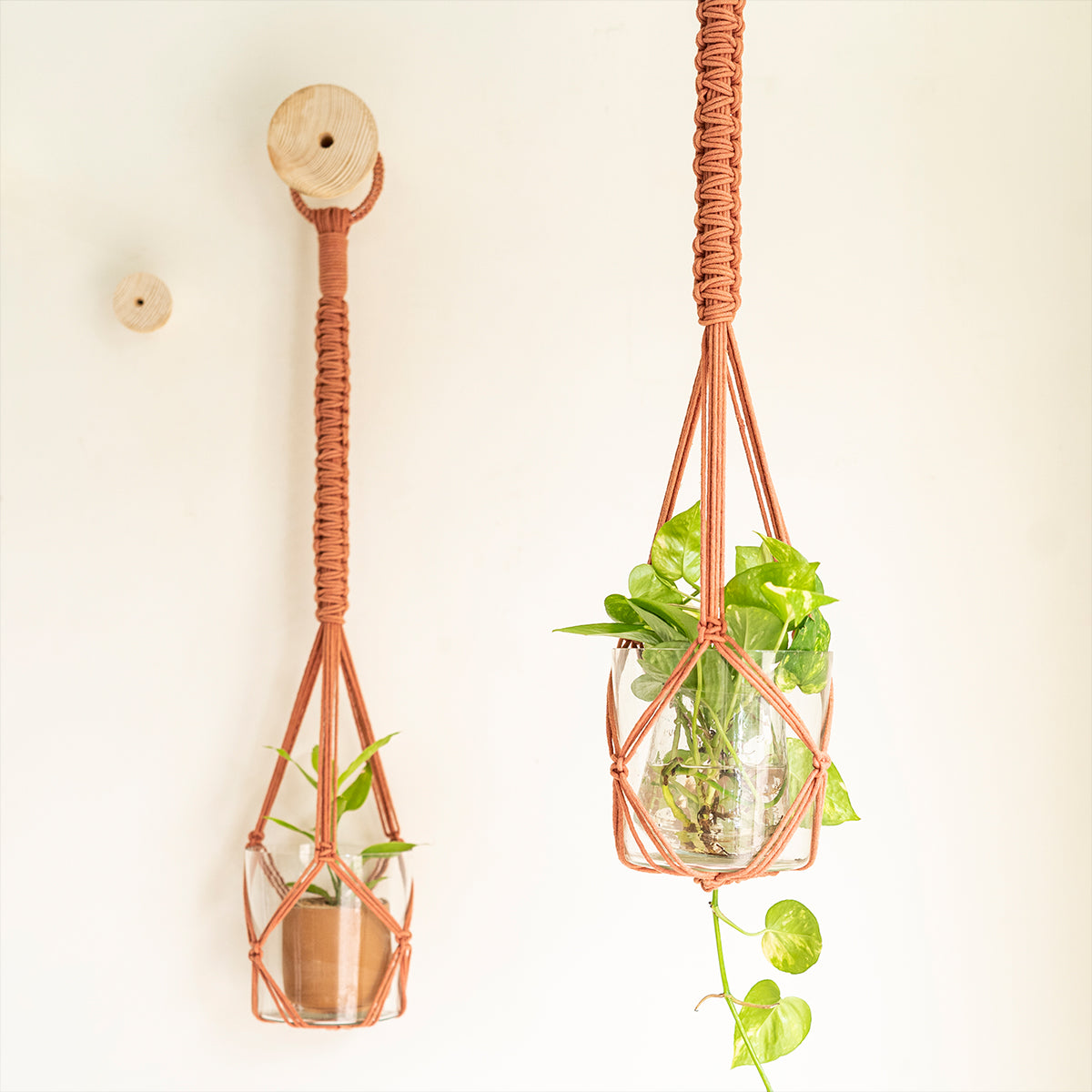 Classic Hand-Knotted Plant Hanger thumbnail 3
